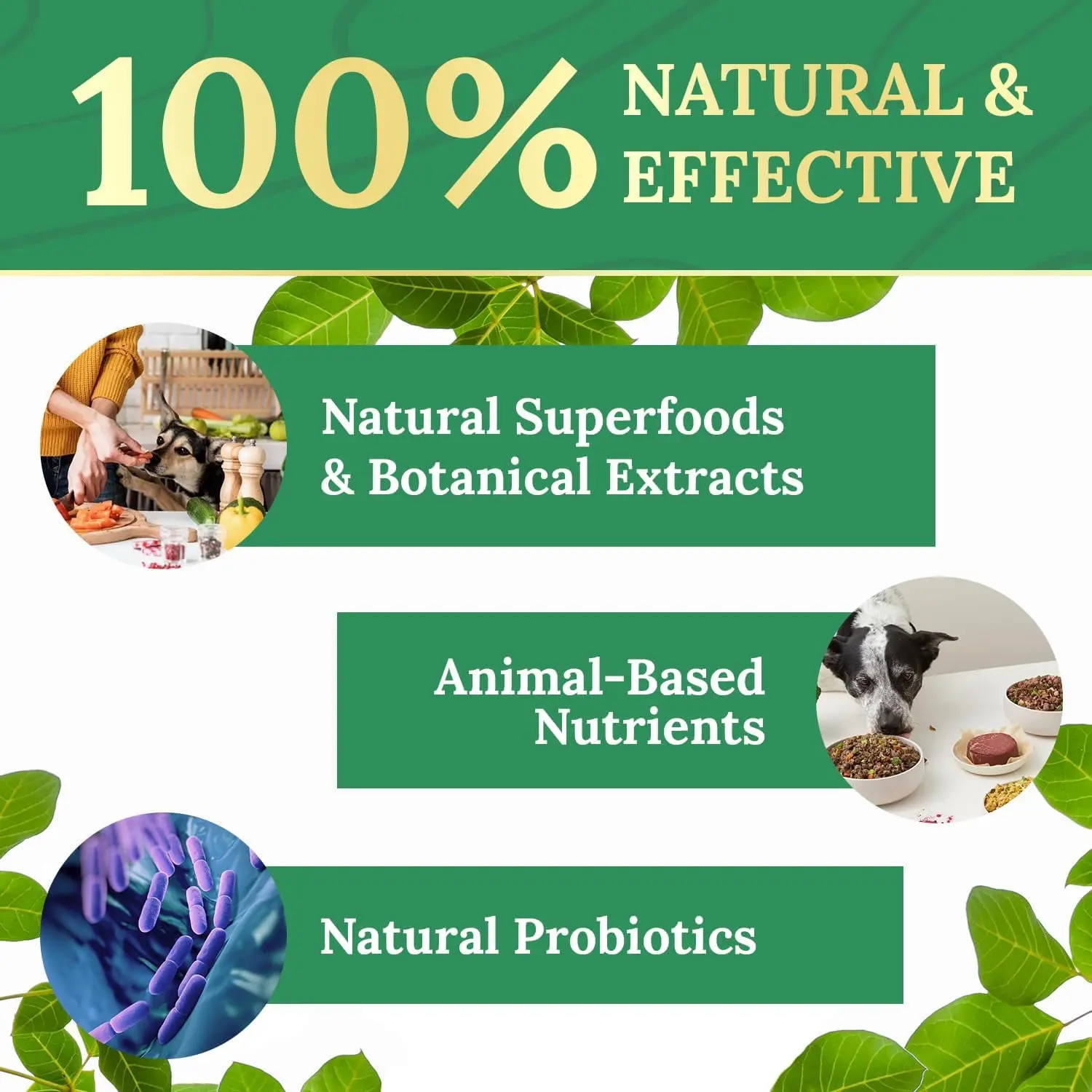 Pawbiotix