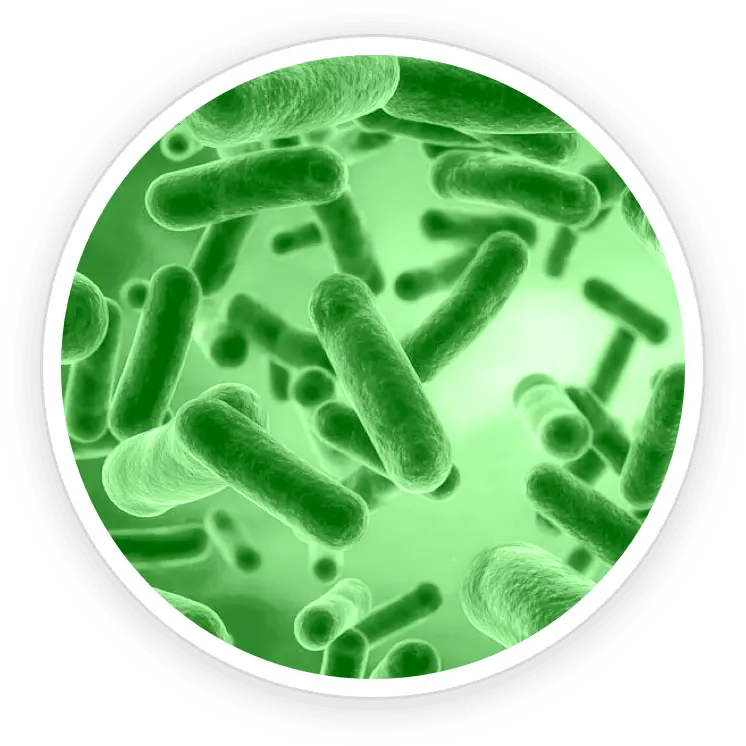 Pawbiotix